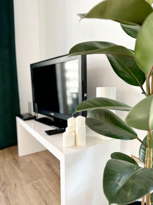 Apartament Dzielnica Parkowa #7 Rzeszów Zewnętrze zdjęcie