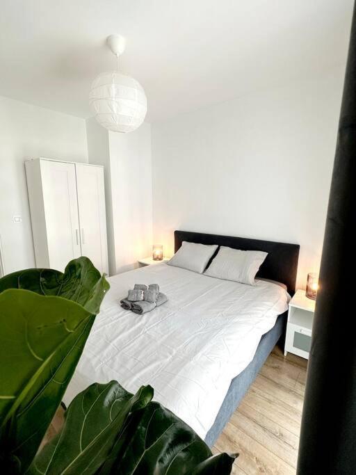Apartament Dzielnica Parkowa #7 Rzeszów Zewnętrze zdjęcie